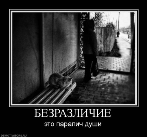 Фати Мусаева | Москва