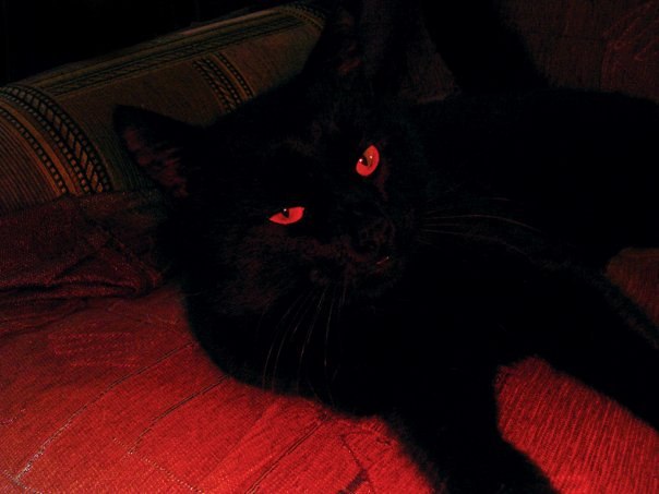 Сергей Соловьев Graf | Иваново