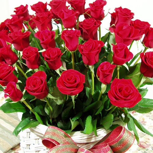 Вера Солодянникова | Новосибирск