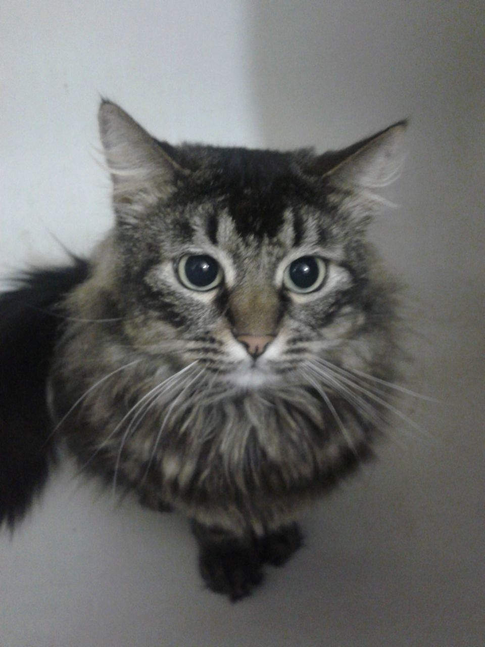 Ев Седов | Вологда