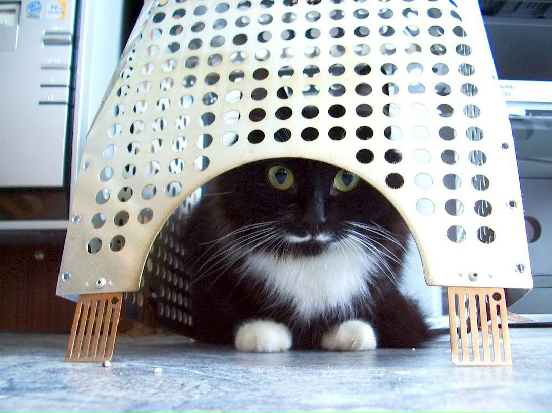 Владимир Барковский | Санкт-Петербург