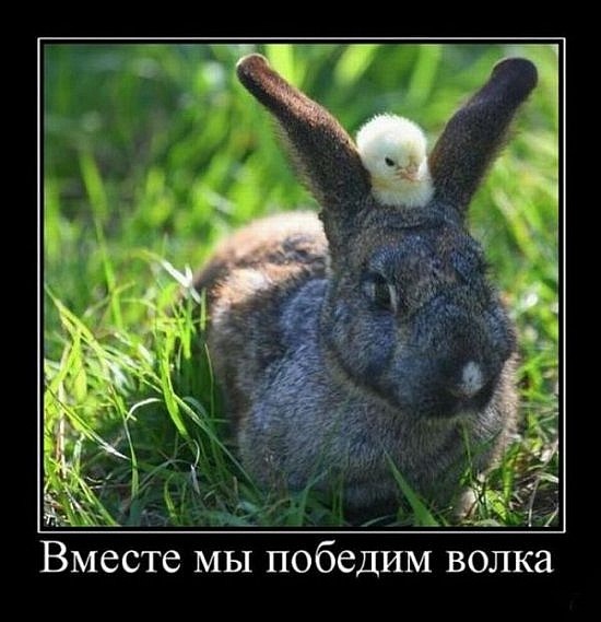 №61, Иван Вениаминович, Снегиревка №61, Иван Вениаминович, Снегиревка