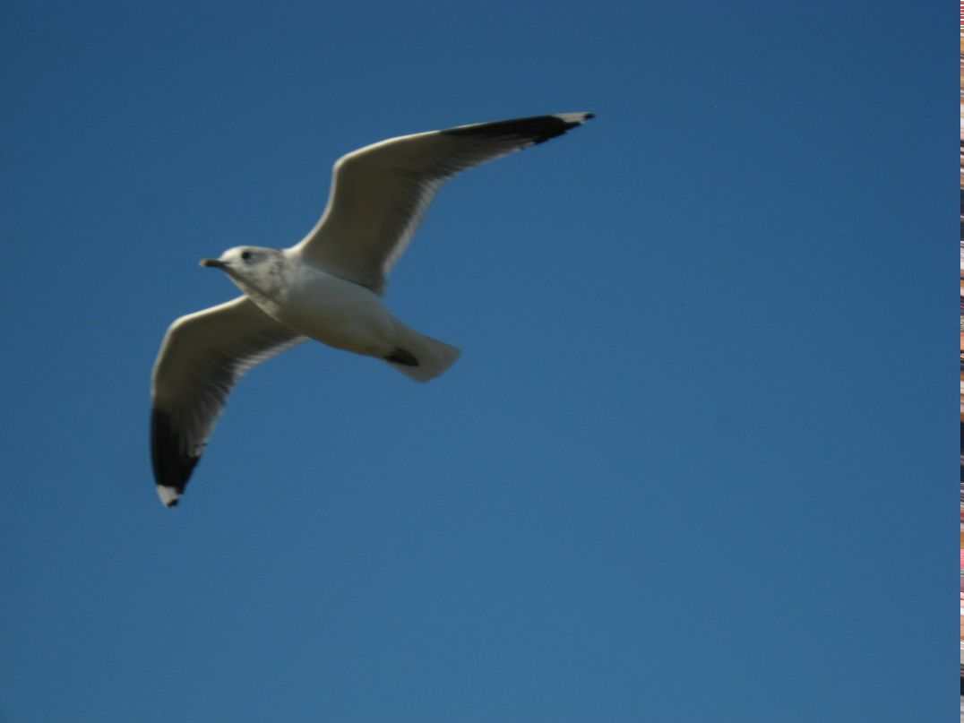 Елена Кочергина | Самара