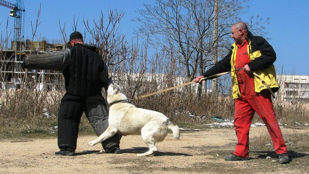 №3, Руслан Гордеев, Львов №3, Руслан Гордеев, Львов