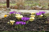 №10, Екатерина Кузнецова, 22.11, Ижевск, Россия