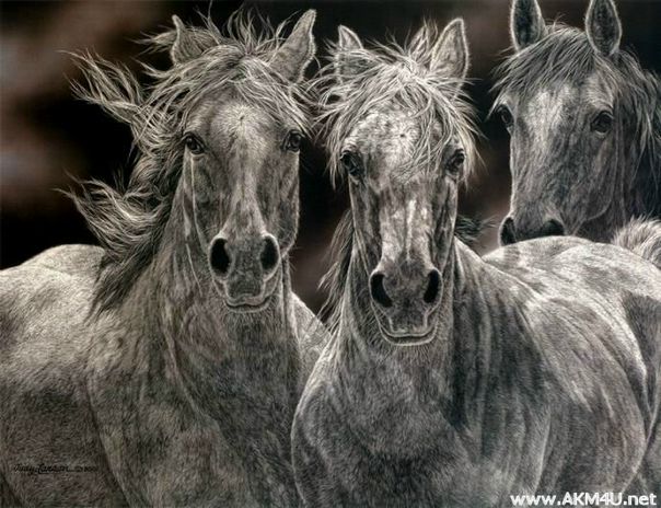 №12, Павел Волянський, 33 года, Черновцы №12, Павел Волянський, 33 года, Черновцы