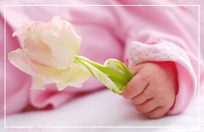 Анна Баяндина | Москва