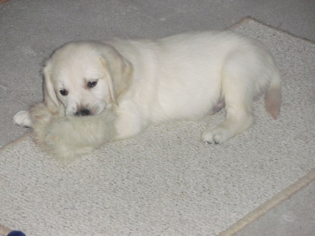 Дарья Прохорова | Санкт-Петербург