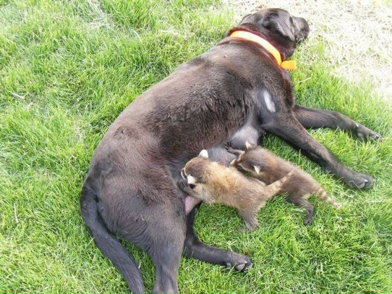 №35, Анастасия Титкова, 36 лет, Москва №35, Анастасия Титкова, 36 лет, Москва