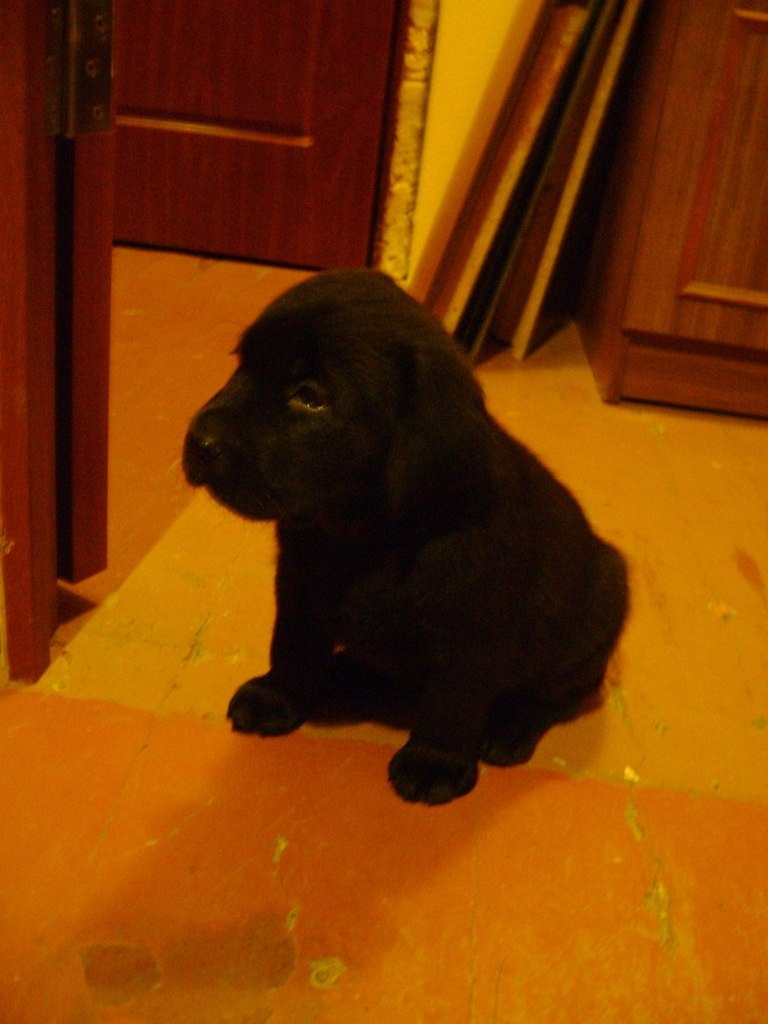 Паша Роскин | Мурманск