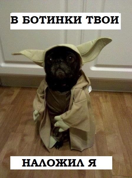 Андрей Цоль Андреевич | Лянтор