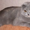 Аватар: Ольга Быкова