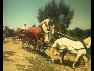 Стежки-дорожки, 1963 год