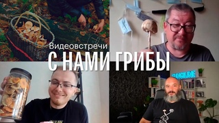 С нами грибы. Грибы и Грибники №1. Михаил Вишневский, Игорь Гордеев, Александр Горбацевич