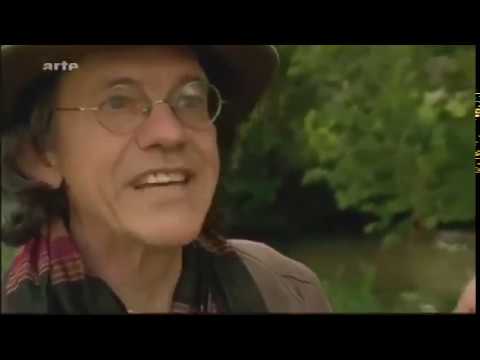 Lortie Documentaire pour mieux comprendre les plantes sauvages le jardin potager en