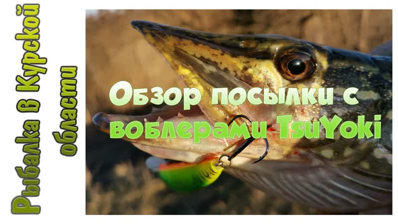 Обзор посылки с воблерами Tsu Yoki ( Adept, Draga, Watson) из Fmagazin