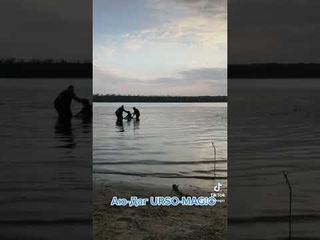 Аю-Даг, тренеровка в воде. #канекорсо #собакателохранитель #ursomagio