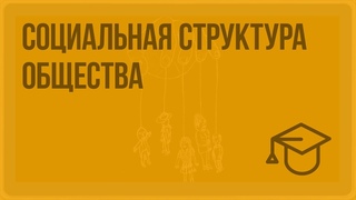 Социальная структура общества. Видеоурок по обществознанию 8 класс