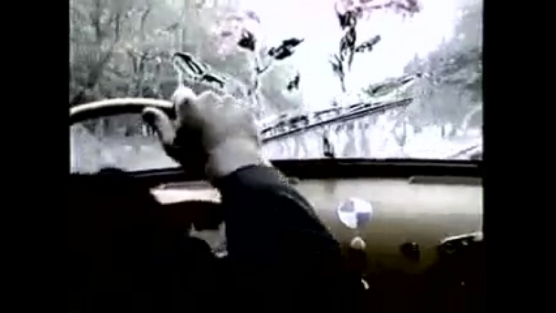 Старый Приятель Не