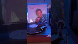#шатунов  #юрашатунов  #белыерозы  шатунов белые розы #ласковыймай  #винил  #vinyl  #vintage