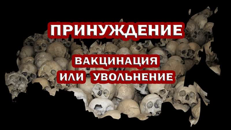 ПРИНУЖДЕНИЕ к ВАКЦИНАЦИИ. Начало. ЧТО ДАЛЬШЕ Либо