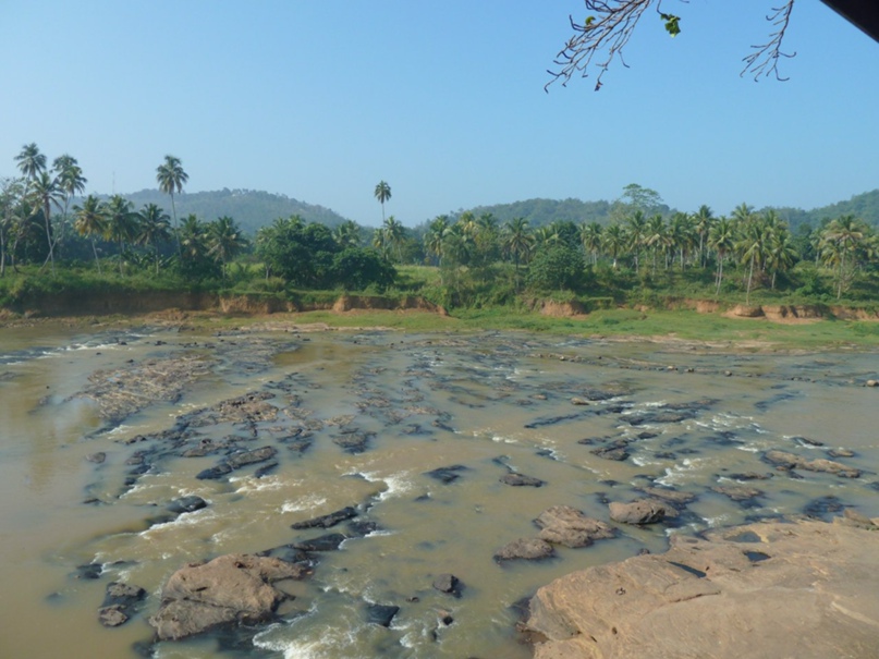 Вадим Жарков ♀Hush♀ | Москва