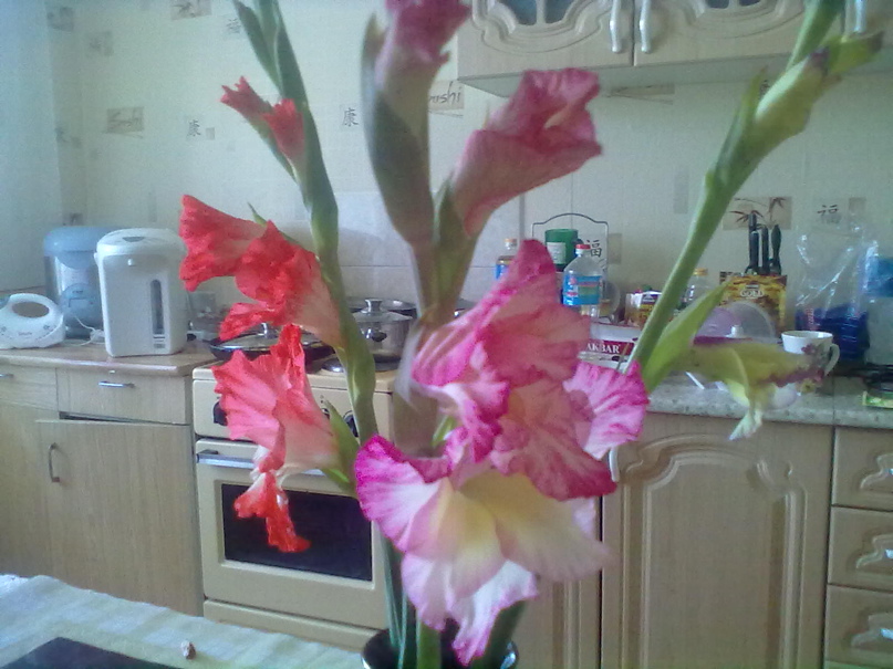 Наталья Кондрашкина | Сегежа