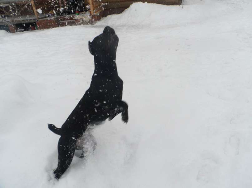 Эльвира Беляева | Казань