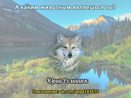 Юрий Романюк | Полтава