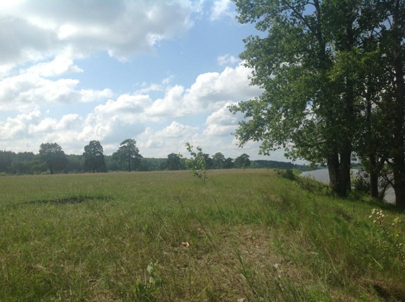 Евгений Ермолин | Тюмень