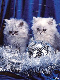 Анна Коваленко | Одесса