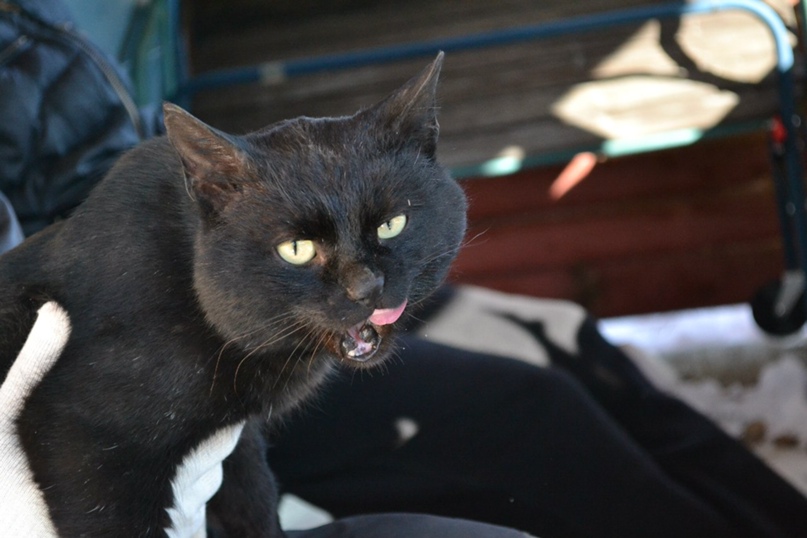 Марина Карпенко | Санкт-Петербург