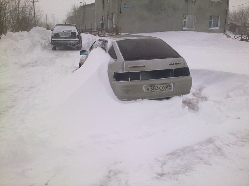 Павел Анисимов | Новый Уренгой