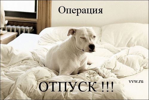 Танечка Ногоспаева | Лесной