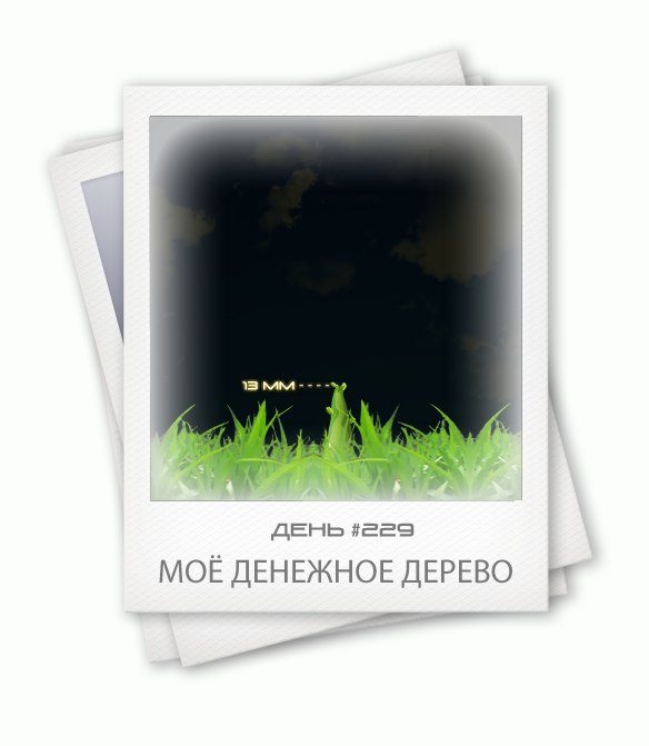 Алексей Шестаков | Пермь