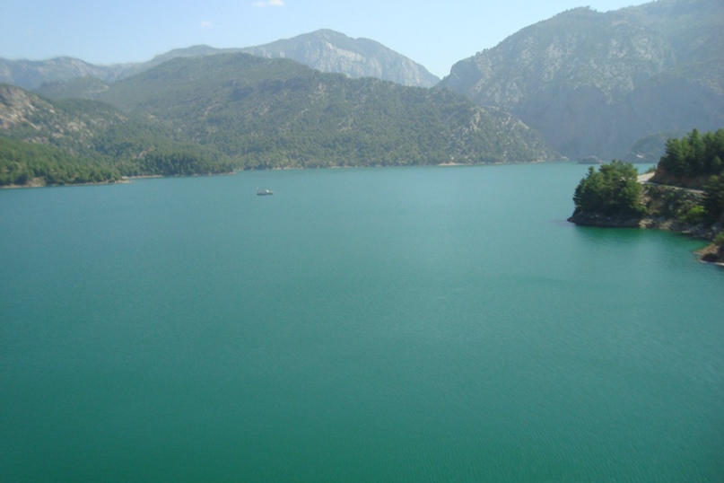 Лена Зыкова | Лесной