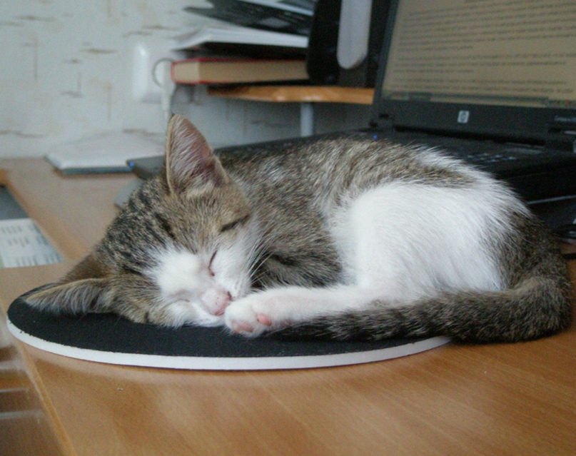 Анна Геллер | Казань