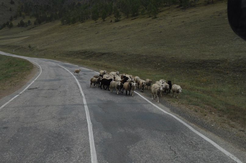 Андрей Чумаков | Москва