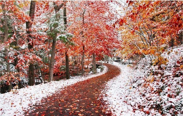 Olga Barkova | Санкт-Петербург