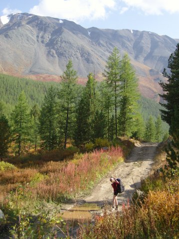 Ирина Гриценко | Новосибирск