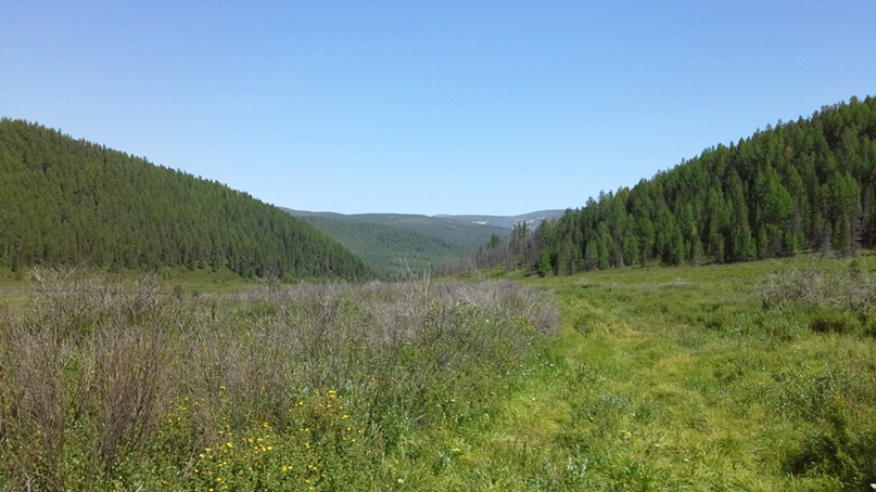 Петр Кнопф Михайлович | Санкт-Петербург