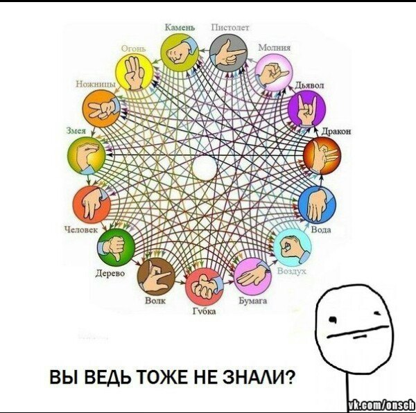 Наташа Кот | Санкт-Петербург