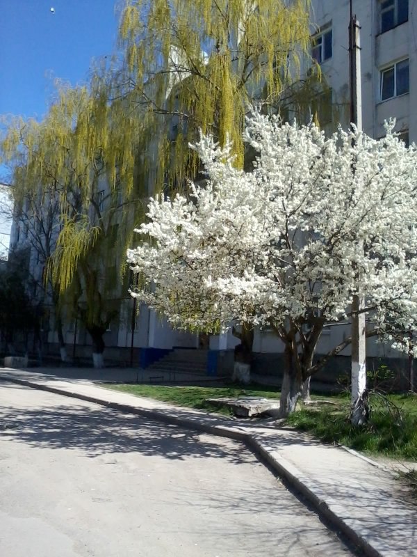 Галина Савина | Одинцово