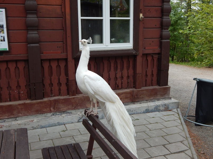 Татьяна Афанасьева | Бугульма