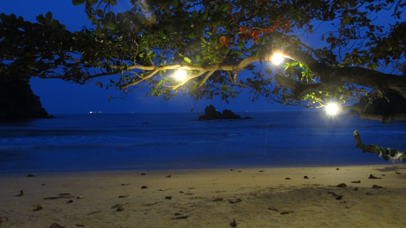 Сергей Арефьев | Севастополь