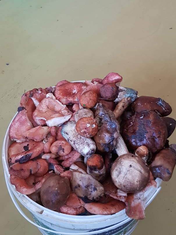 Борис Марков | Архангельск