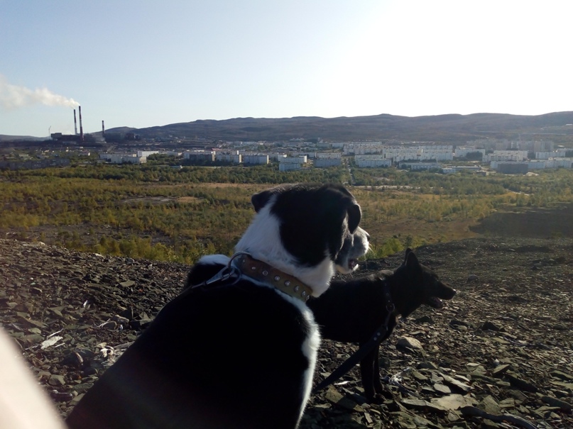 Саша Кочеткова | Никель