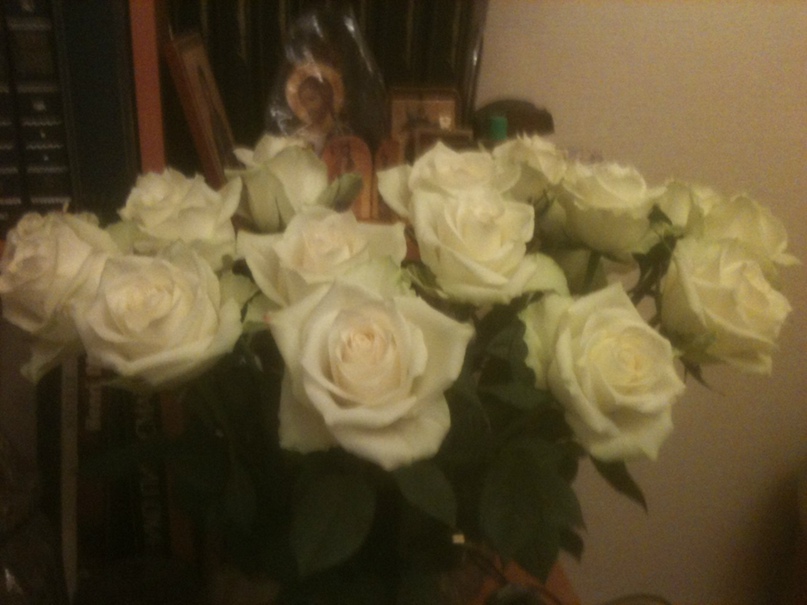 Татьяна Сергеенко | Москва