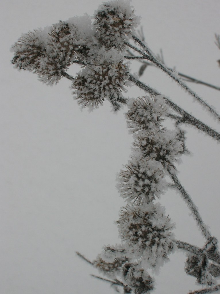 Екатерина Якименко | Орехово-Зуево