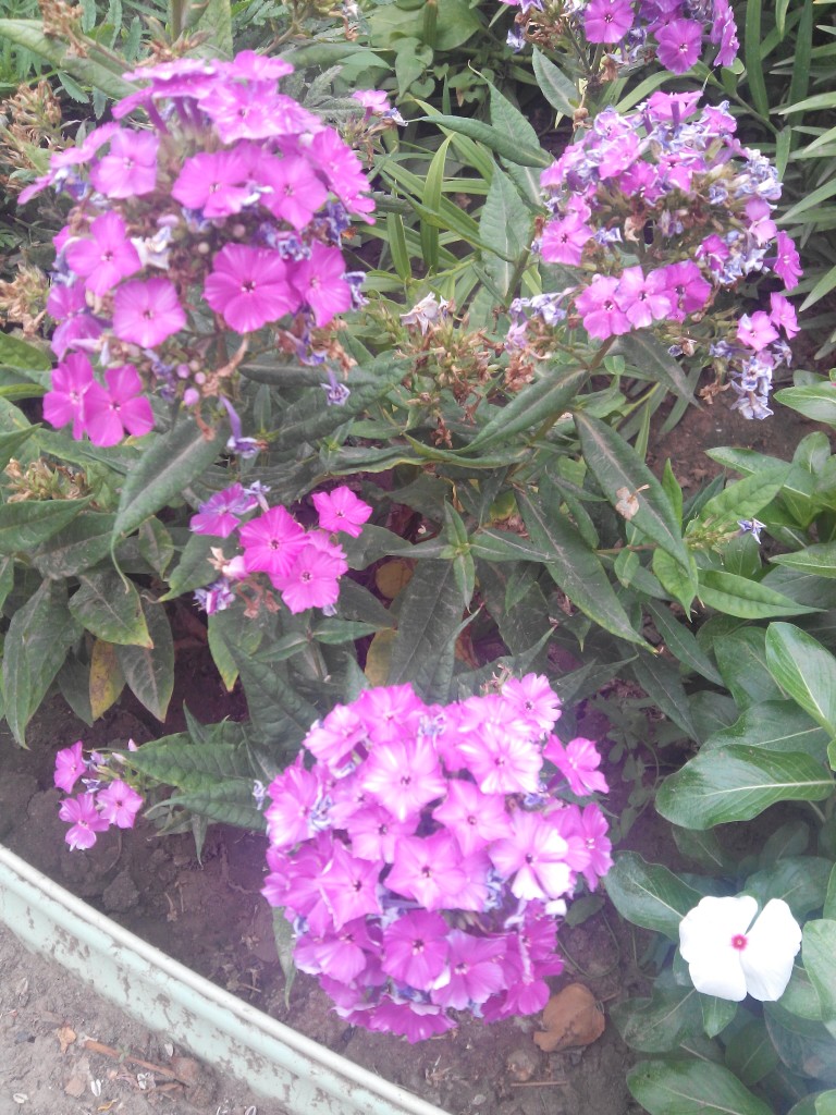 Ирина Евсеева | Астрахань